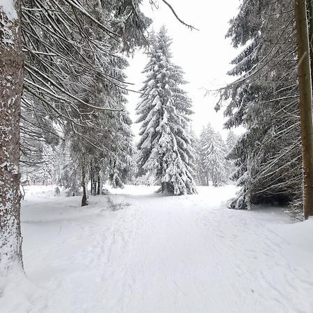 Hotel Zum Gruendle Oberhof  Eksteriør bilde