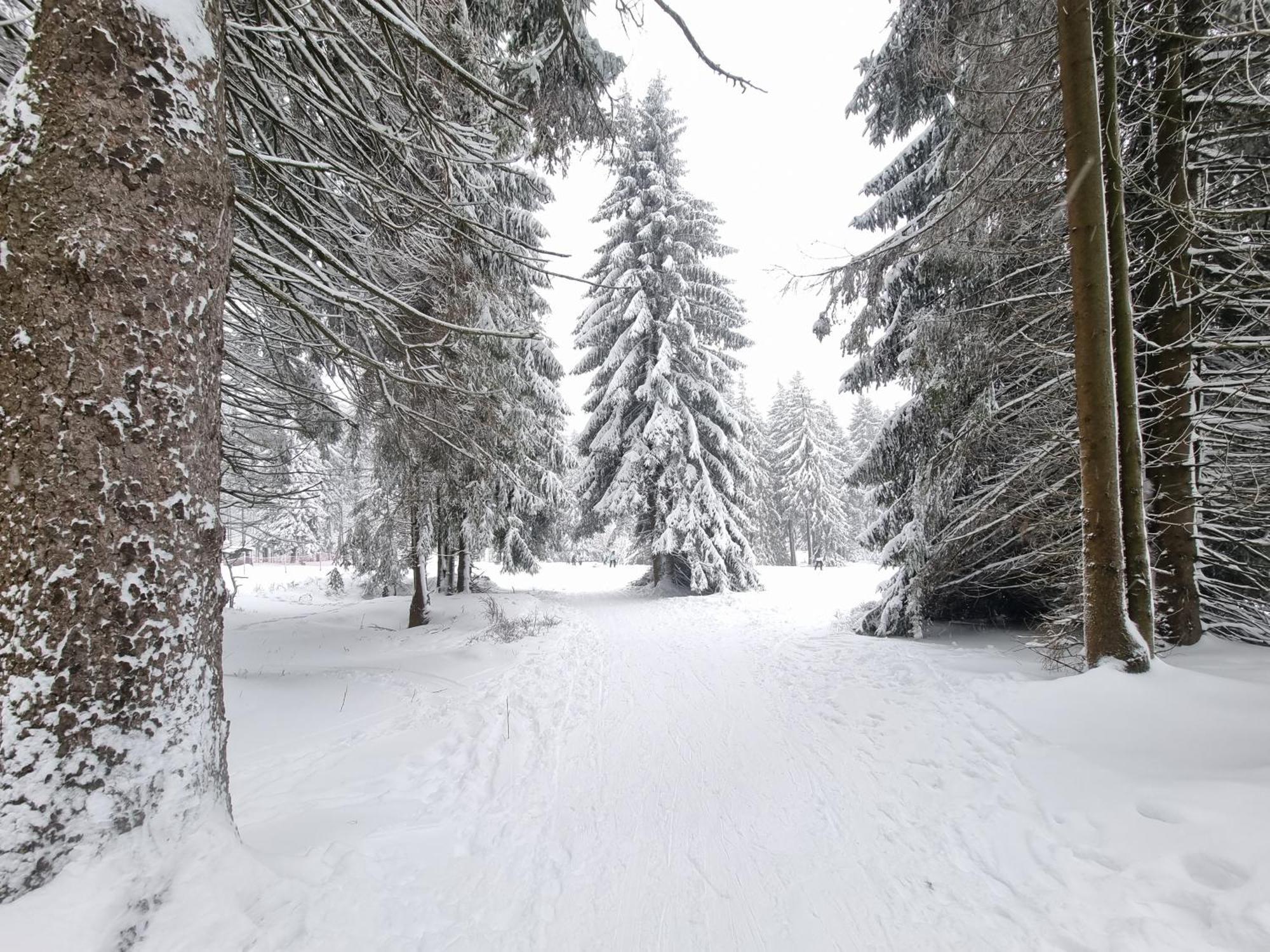 Hotel Zum Gruendle Oberhof  Eksteriør bilde